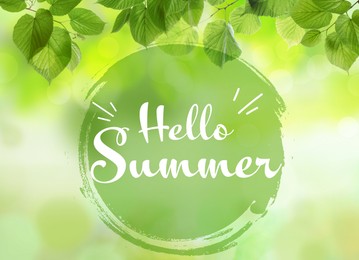 Image of Hello Summer. Beautiful green leaves on blurred background