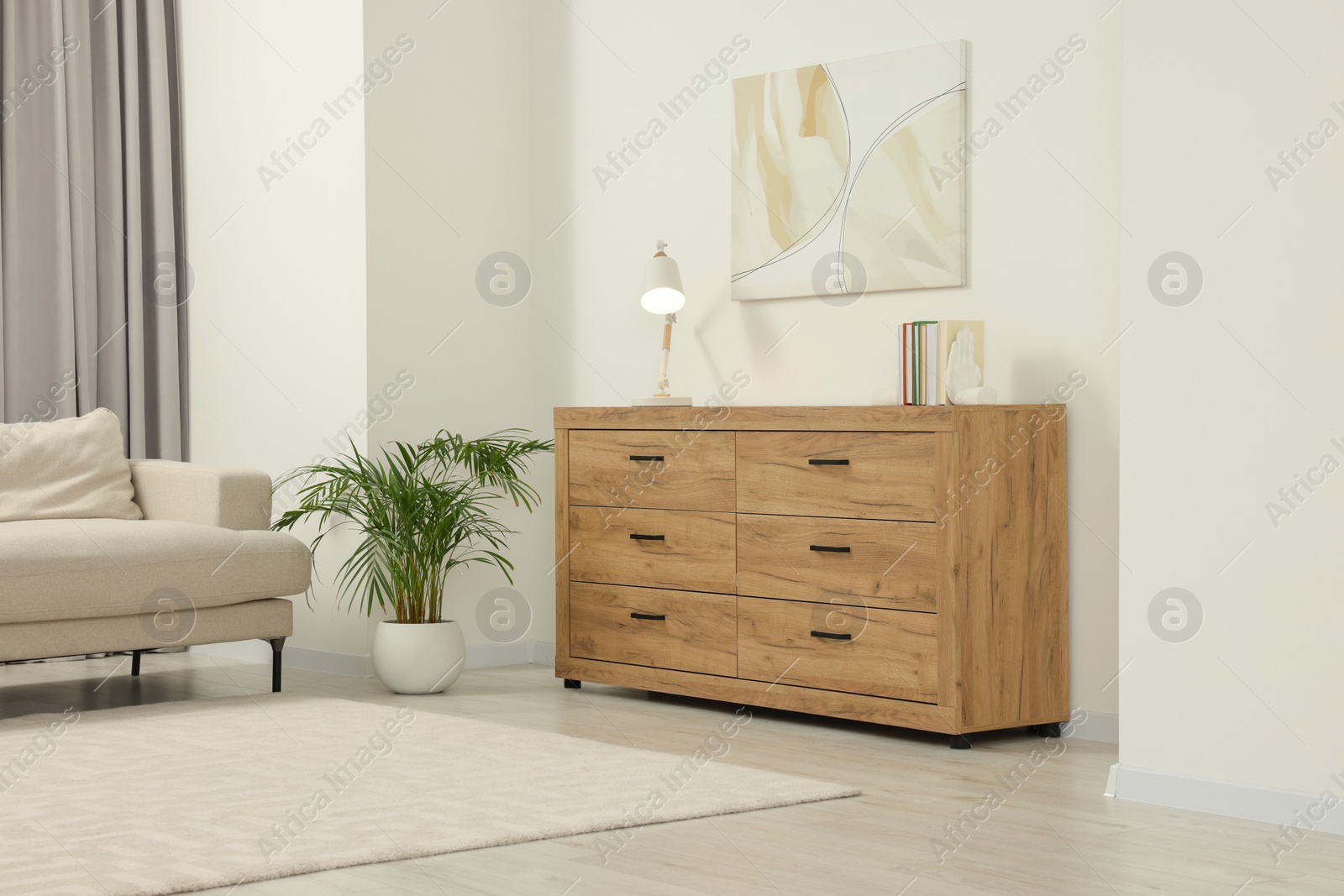 Photo of Stylish living room with wooden chest of drawers, sofa and potted plant. Interior design