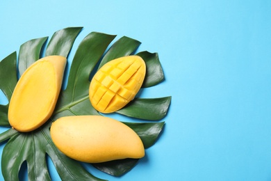 Flat lay composition with mango and tropical leaf on color background. Space for text