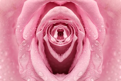 Image of Erotic metaphor design. Rose bud with petals and water drops resembling vulva. Beautiful flower as background, closeup