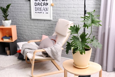 Photo of Tropical plant with green leaves and comfortable armchair in room interior