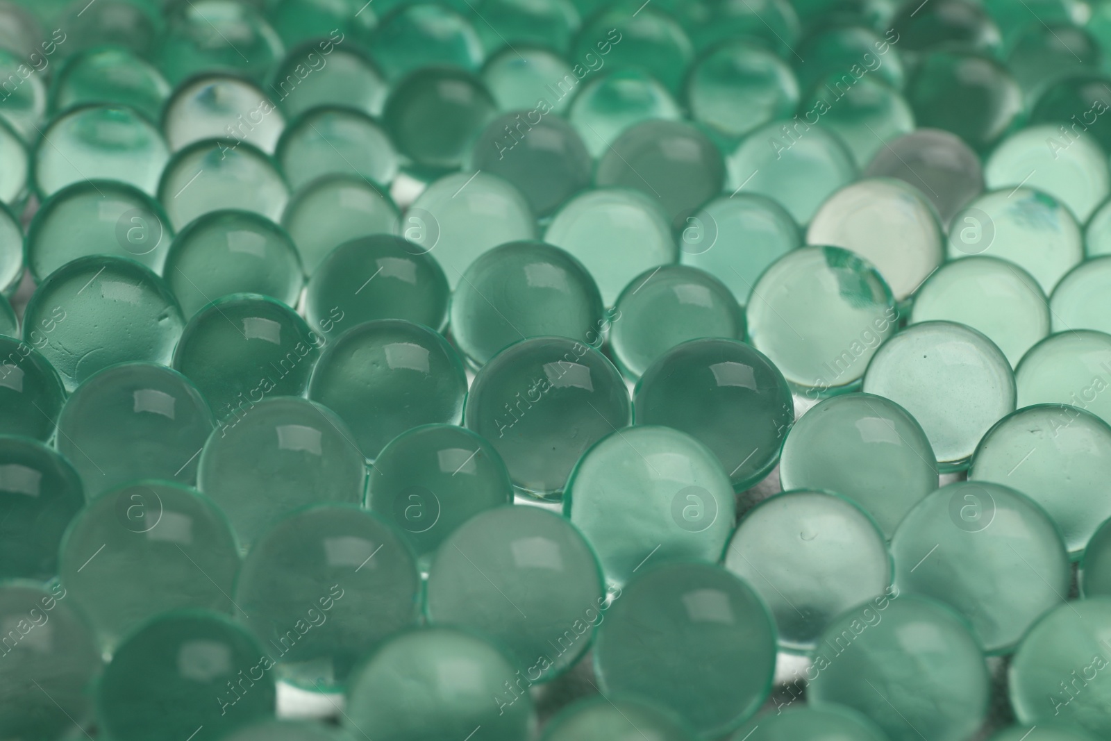 Photo of Closeup view of mint vase filler as background. Water beads