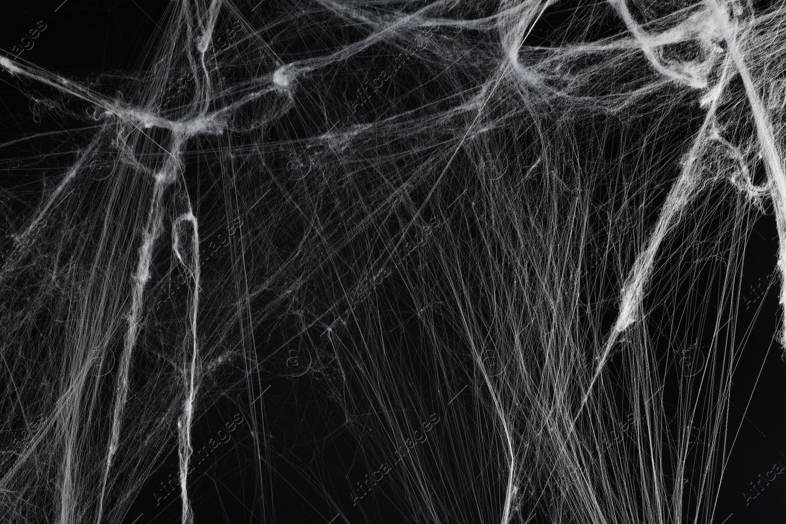 Photo of Creepy white spider web on black background