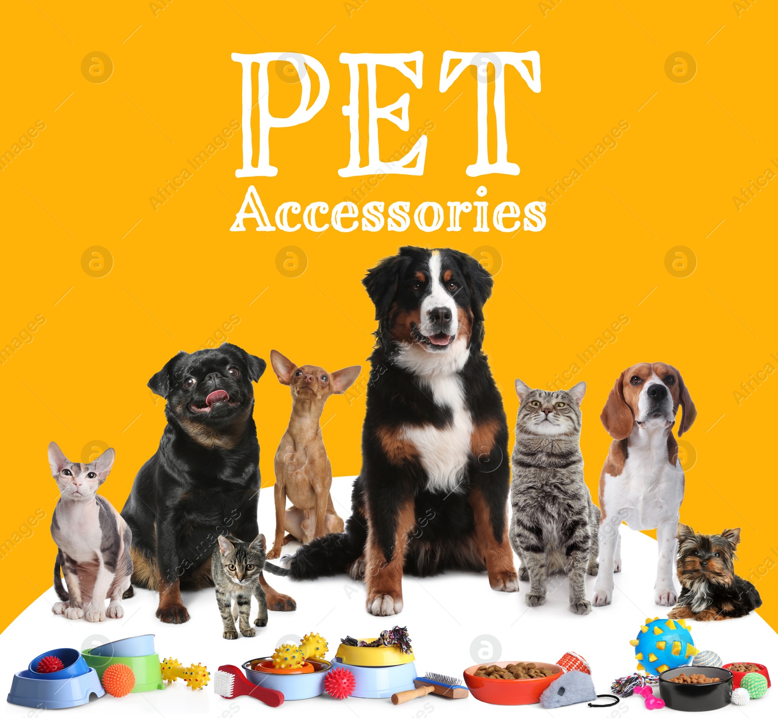 Image of Advertising poster design for pet shop. Cute dogs, cats and different accessories on color background