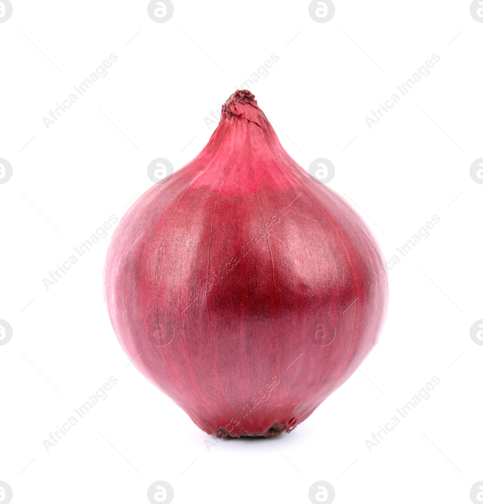 Photo of Fresh whole red onion on white background