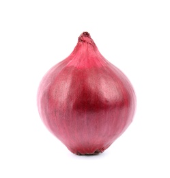 Photo of Fresh whole red onion on white background