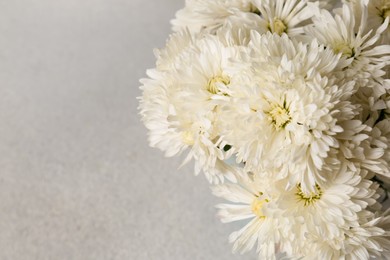 Photo of Many beautiful chrysanthemum flowers on light grey table, closeup. Space for text