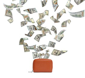 Image of Dollar banknotes falling into purse on white background