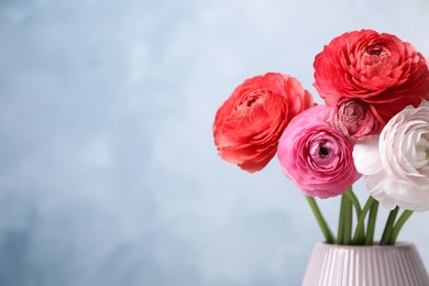 Beautiful fresh ranunculus flowers in vase on color background, closeup. Space for text