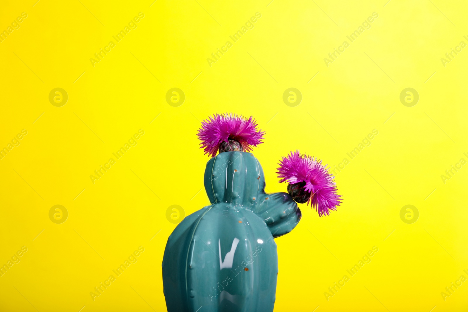 Photo of Trendy cactus shaped ceramic vase with flowers on color background
