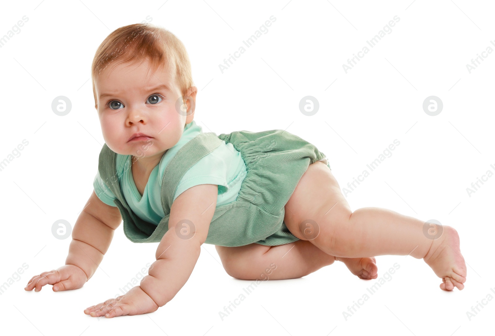 Photo of Cute little baby crawling on white background