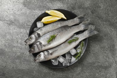 Photo of Sea bass fish and ingredients on grey table, top view