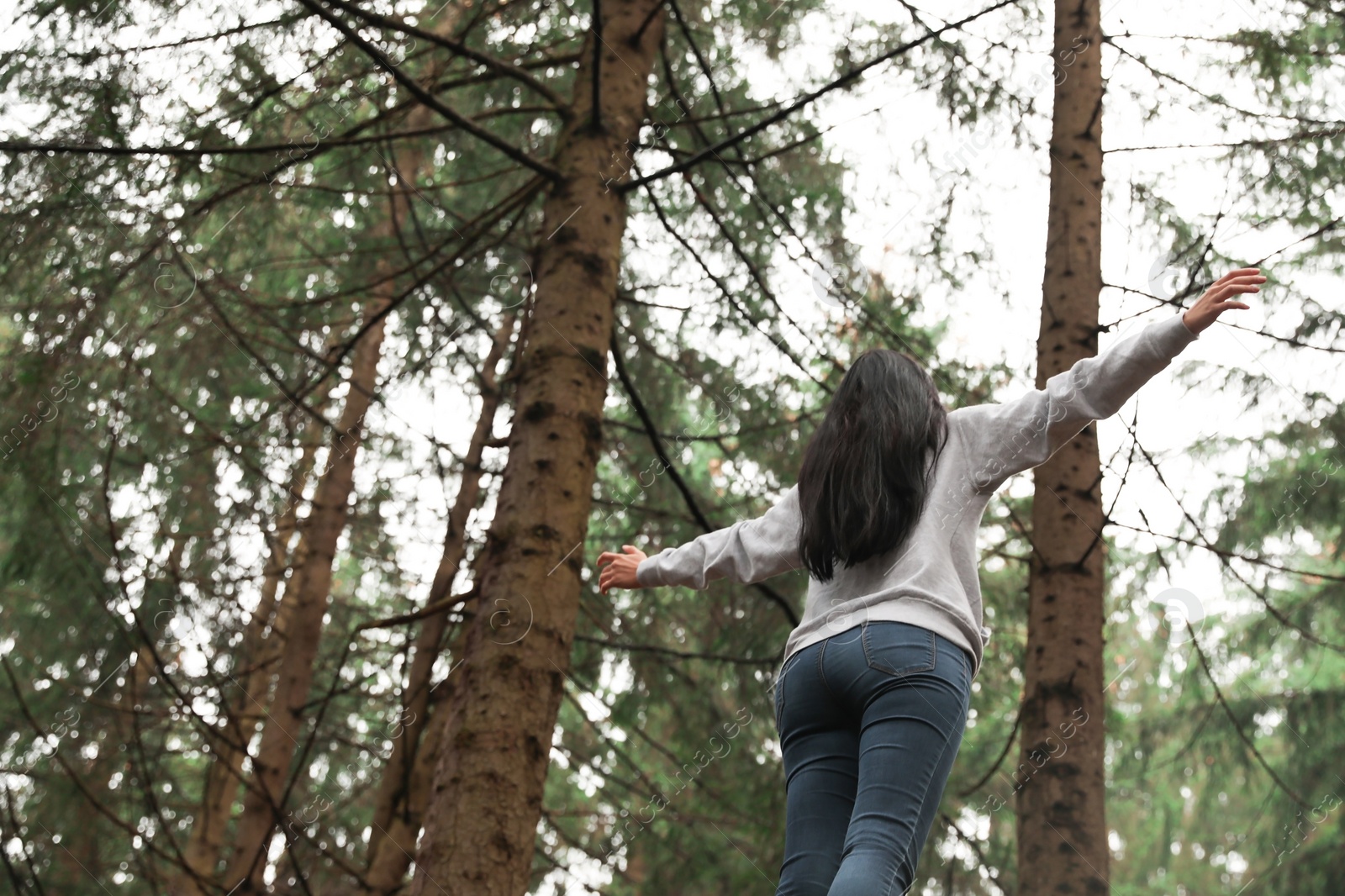 Photo of Woman on walk in beautiful coniferous forest