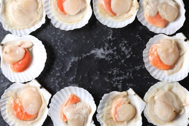 Photo of Frame made of fresh raw scallops with shells on black textured table, flat lay. Space for text