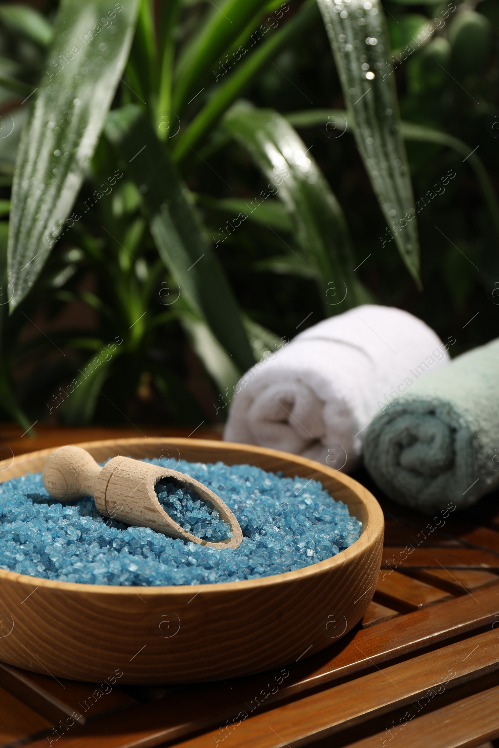 Photo of Bowl of blue sea salt with scoop and rolled towels on wooden table, closeup