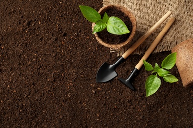 Photo of Flat lay composition with seedlings and gardening tools on soil, space for text