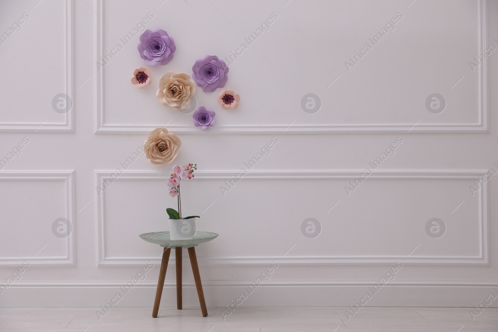 Photo of Stylish room interior with floral decor and beautiful orchid, space for text
