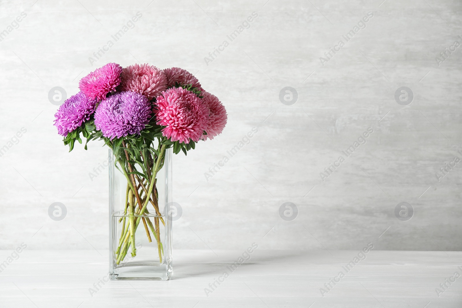 Photo of Glass vase with beautiful aster flowers on table against light background. Space for text