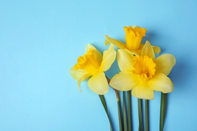 Photo of Bouquet of daffodils on color background, top view with space for text. Fresh spring flowers