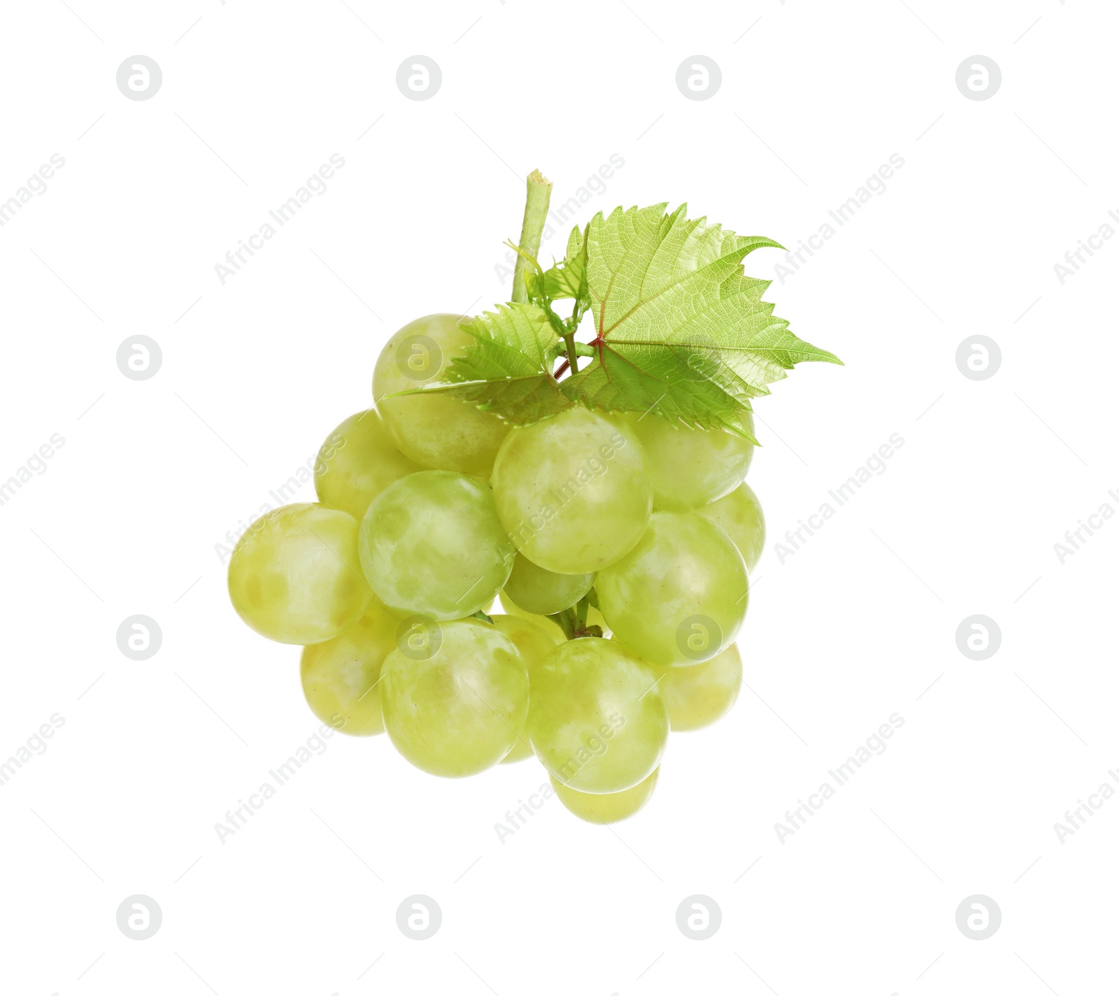 Photo of Bunch of fresh ripe juicy grapes isolated on white