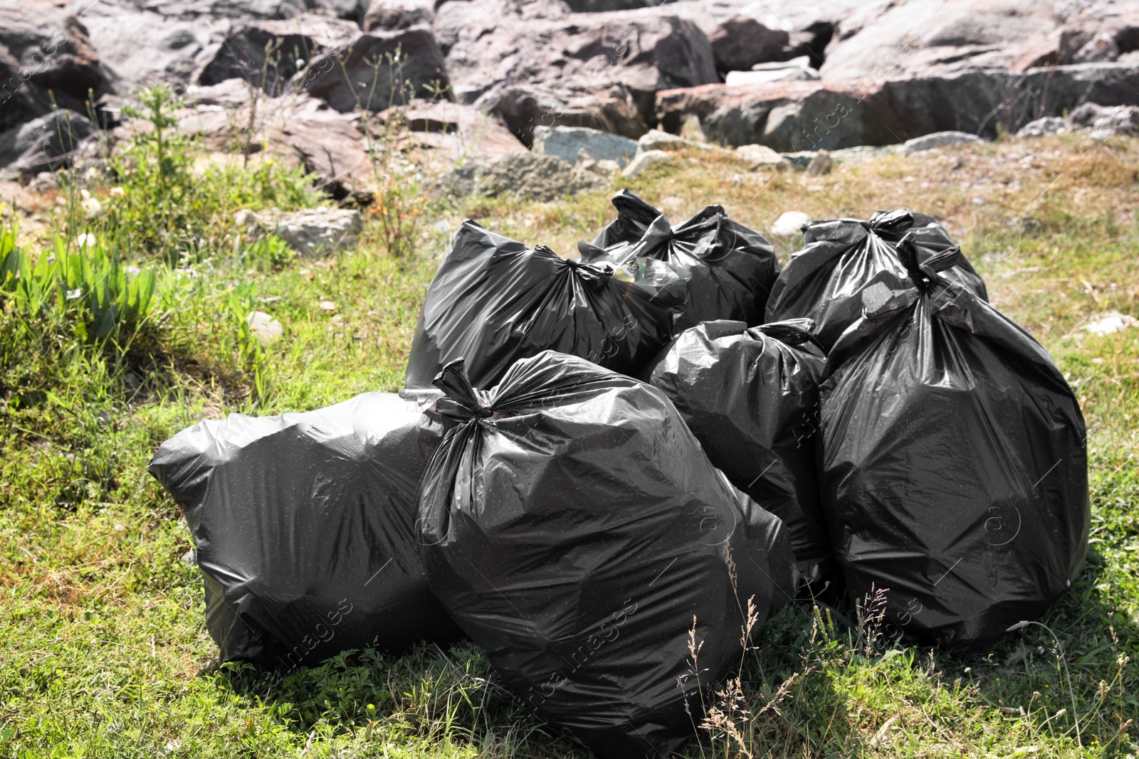 Photo of Many trash bags full of garbage on green grass outdoors. Environmental Pollution concept