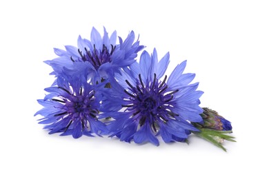 Photo of Beautiful light blue cornflowers isolated on white