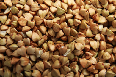 Photo of Closeup view of organic green buckwheat as background