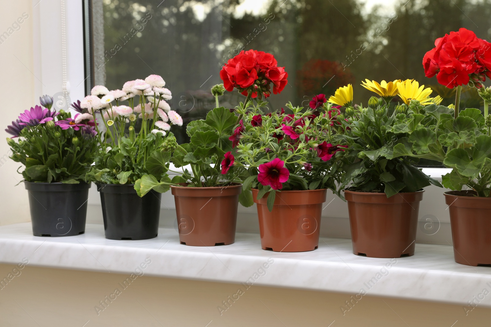 Photo of Different beautiful potted flowers on windowsill indoors