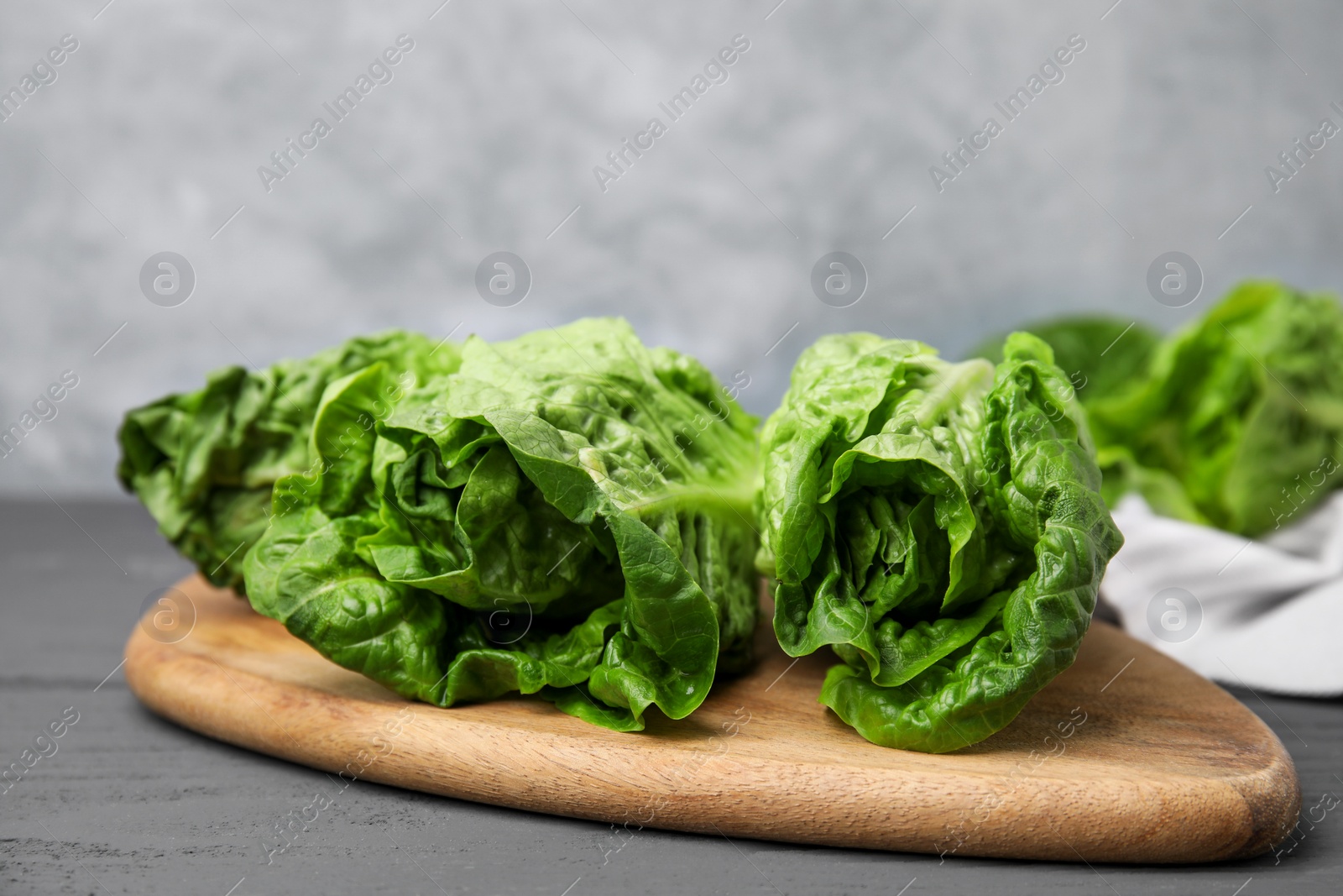 Photo of Fresh green romaine lettuces on grey wooden table, closeup