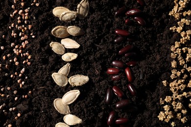 Different vegetable seeds on fertile soil, flat lay