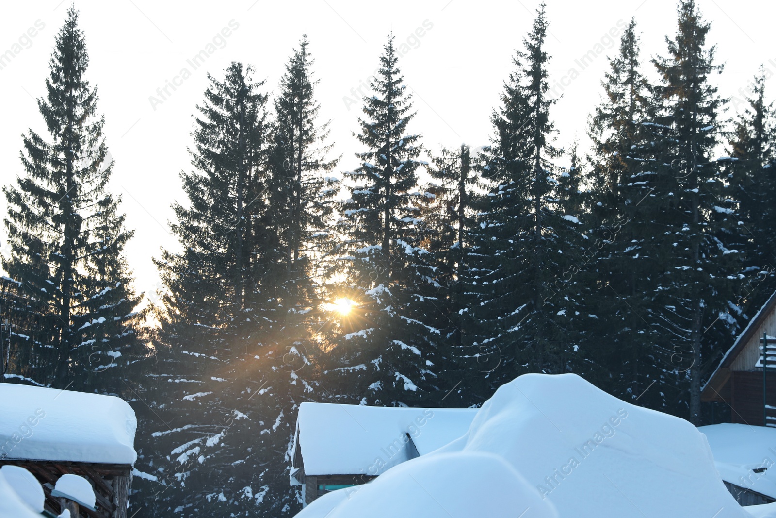 Photo of Wooden houses covered with snow. Winter vacation