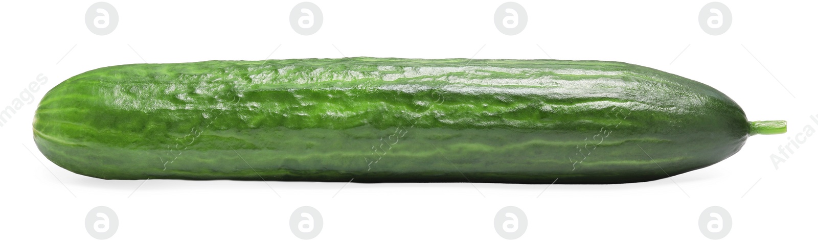 Photo of One long fresh cucumber isolated on white