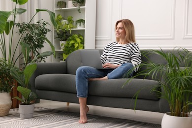 Photo of Woman working with laptop on sofa surrounded by beautiful potted houseplants at home