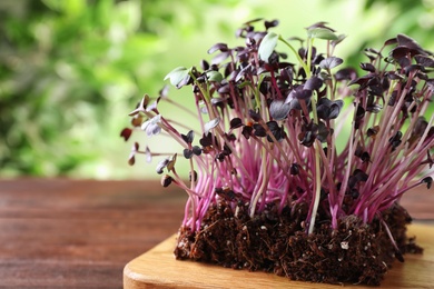 Fresh organic microgreen on wooden table, closeup. Space for text