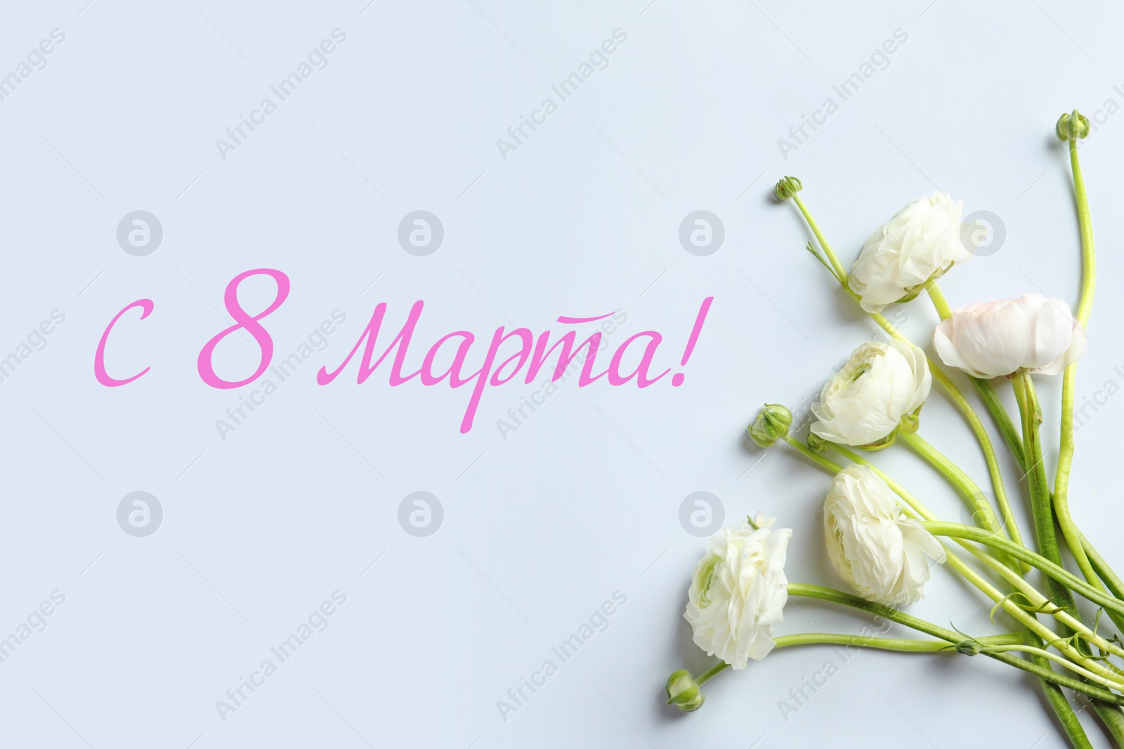 Image of International Women's Day greeting card design. Beautiful ranunculus flowers and text Happy 8 March written in Russian on light blue background, flat lay