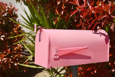 Pink letter box outdoors on sunny day