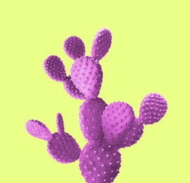 Image of Beautiful pink cactus plant on green yellow background