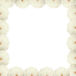 Image of Frame made of fresh ripe pattypan squashes on white background, top view