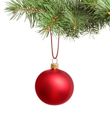 Red Christmas ball hanging on fir tree branch against white background