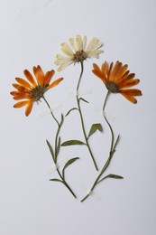 Photo of Wild pressed dried flowers on white background. Beautiful herbarium