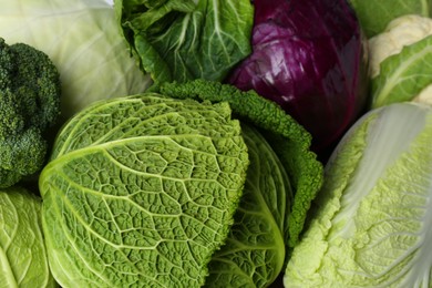 Photo of Many different fresh ripe cabbages as background, closeup