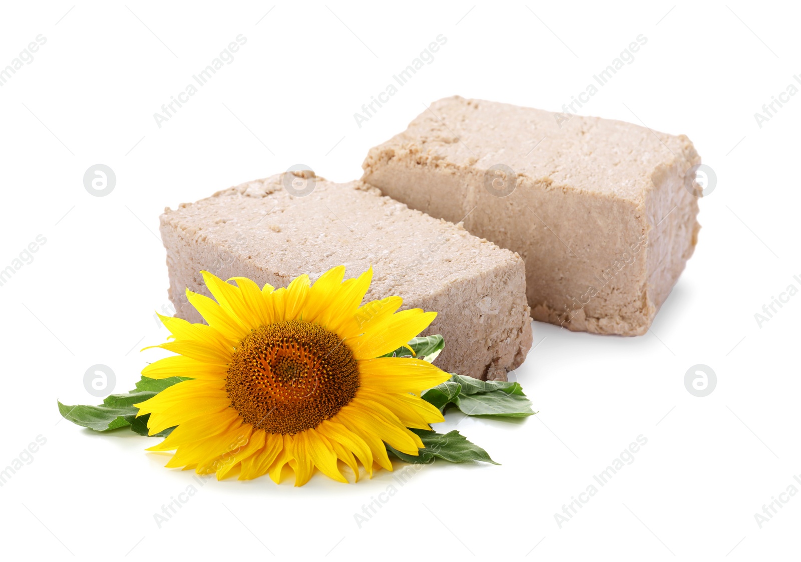 Image of Tasty halva and sunflower isolated on white