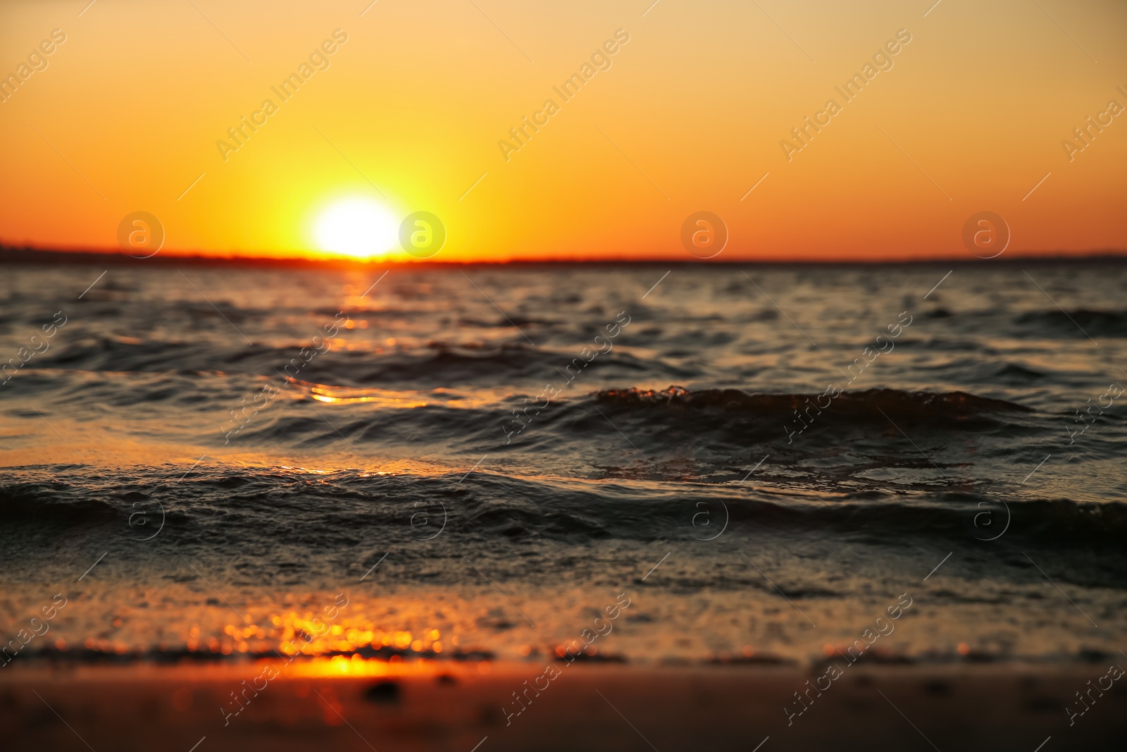 Photo of Picturesque view of beautiful seaside at sunset