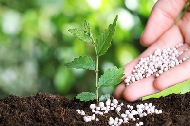 Woman fertilizing plant in soil against blurred background, closeup with space for text. Gardening time
