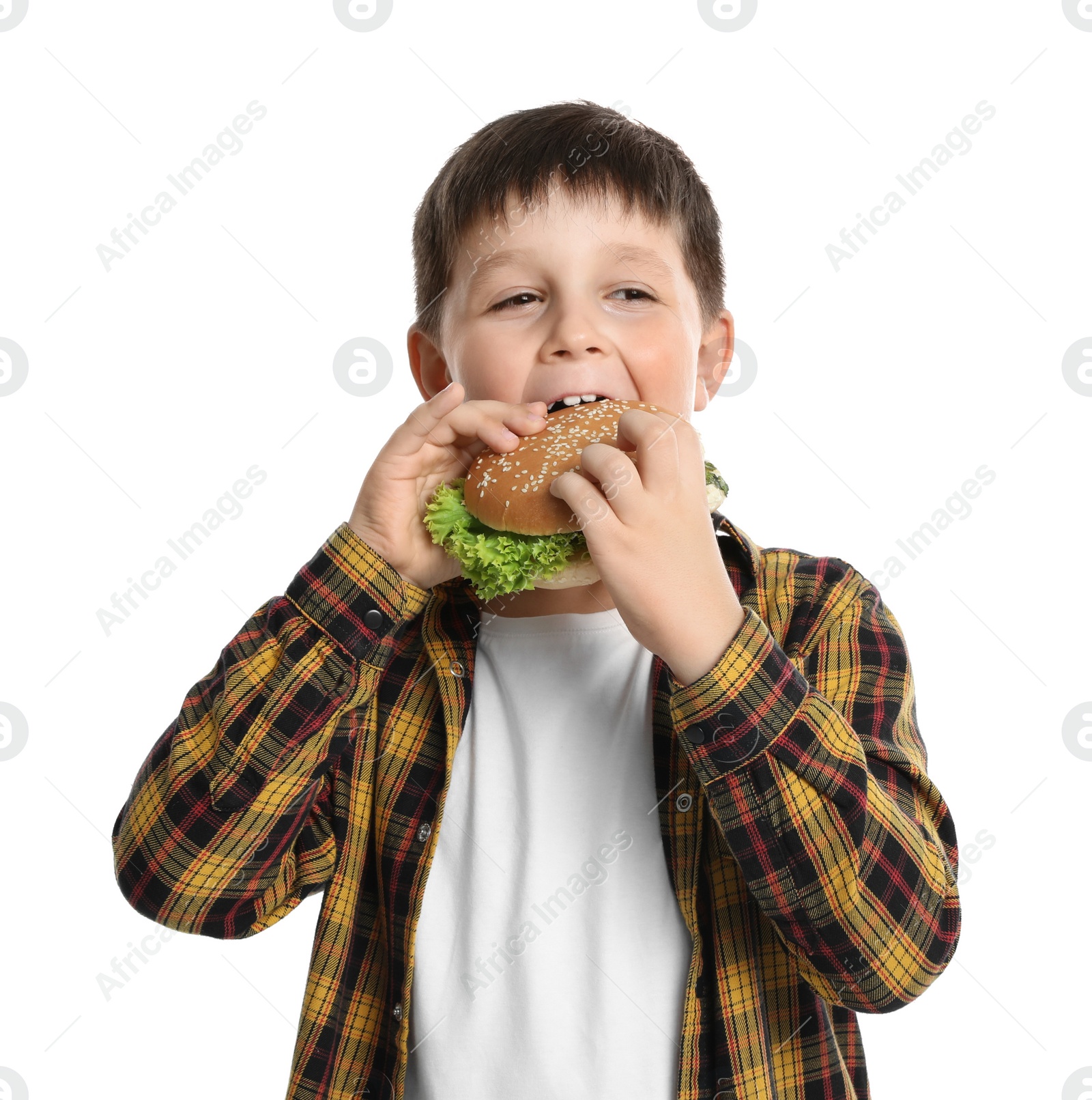 Photo of Happy boy eating sandwich on white background. Healthy food for school lunch