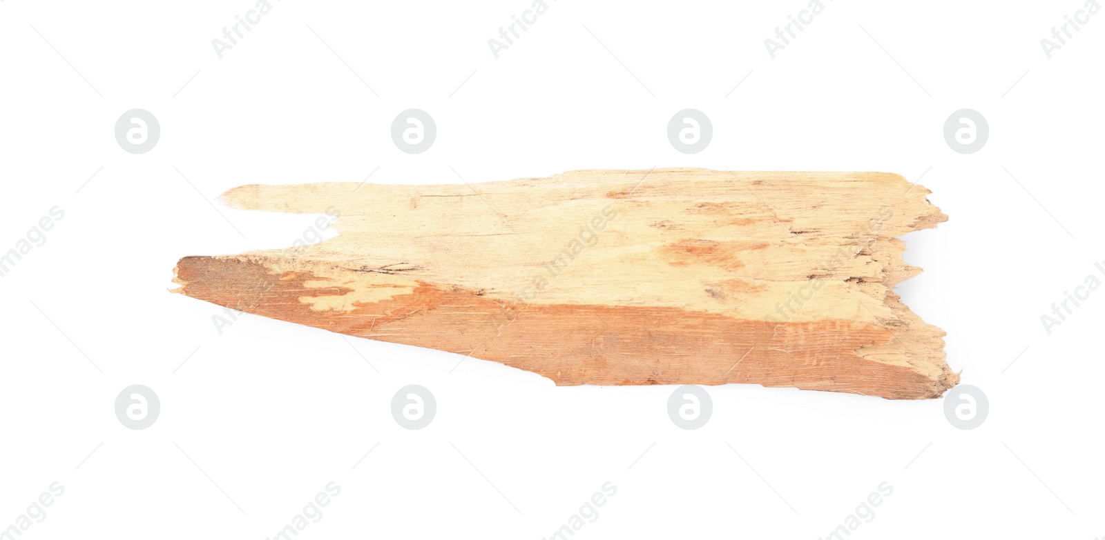 Photo of Tree bark piece isolated on white, top view