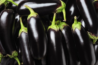 Photo of Tasty raw ripe eggplants as background, top view