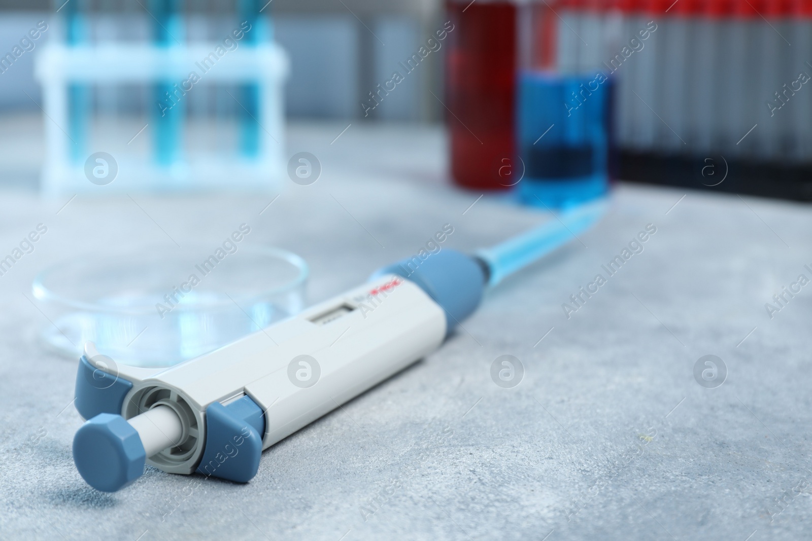 Photo of Laboratory analysis. Micropipette with liquid and petri dish on light grey table, closeup. Space for text