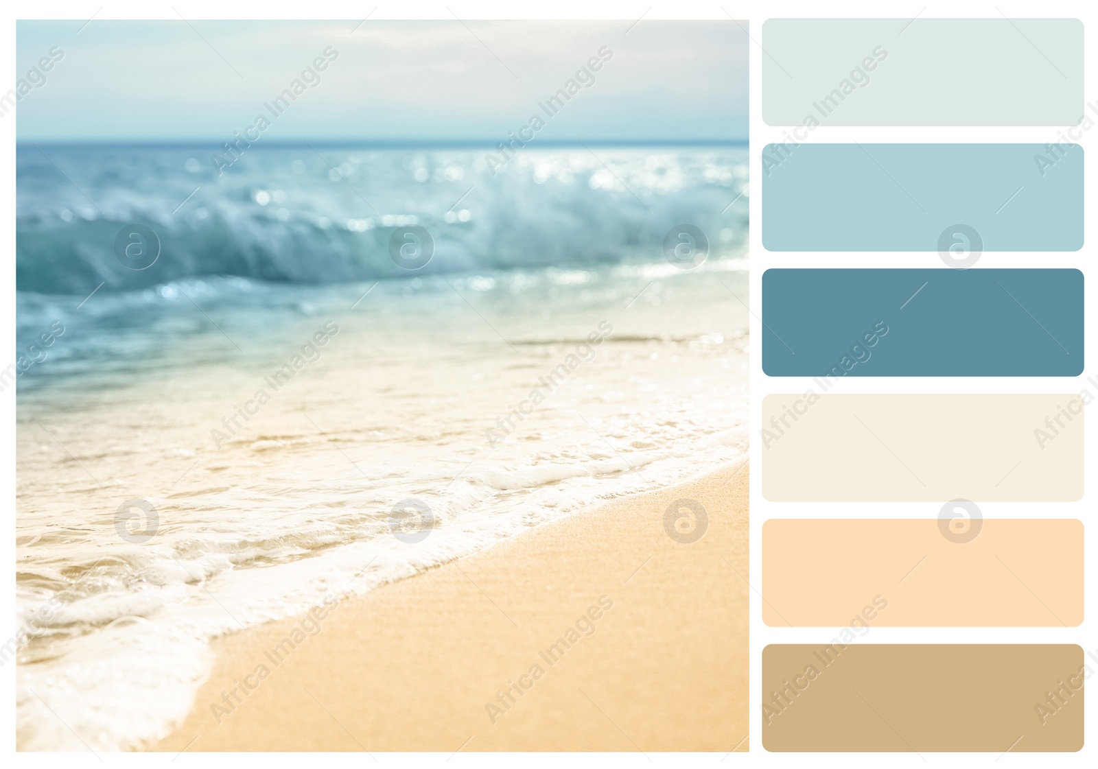 Image of Color palette appropriate to photo of sandy beach and sea