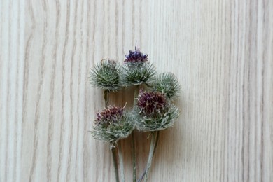 Photo of Beautiful burdock flowers on light wooden table, top view